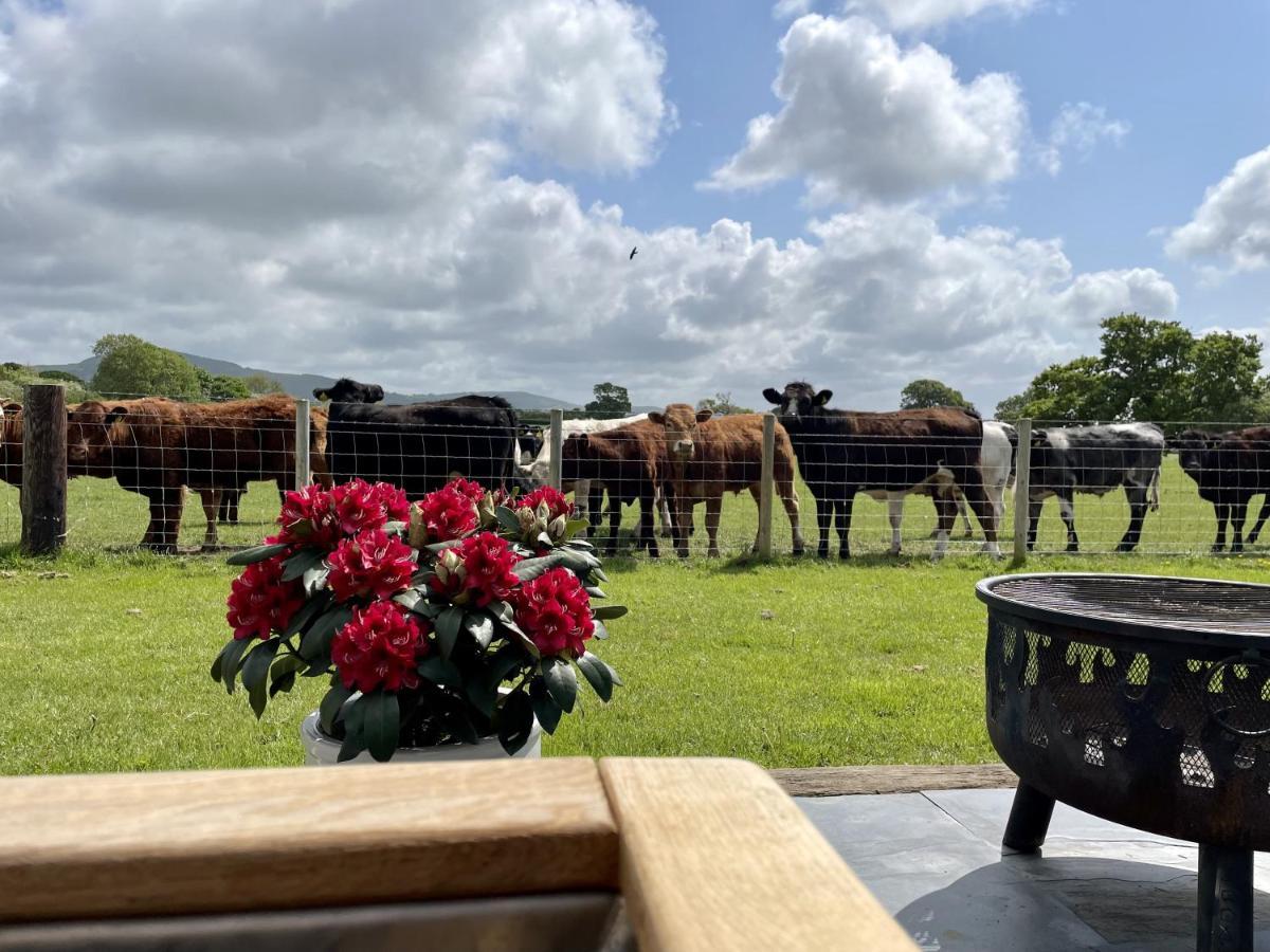 Abbey Farm Luxury Glamping Hotel Rhuddlan Eksteriør billede