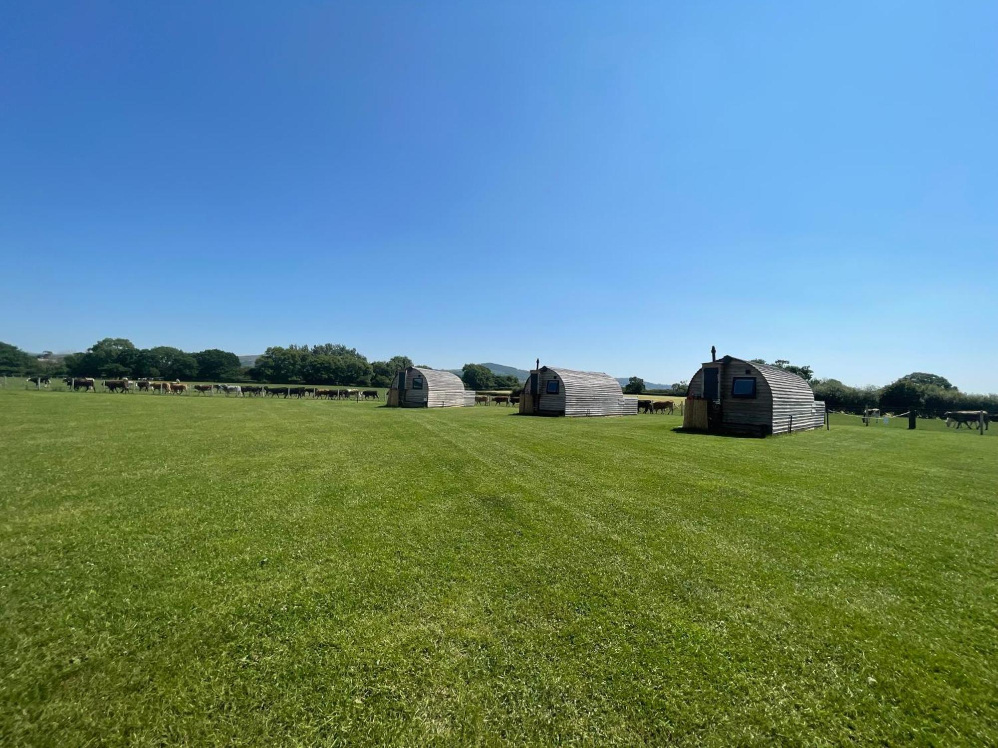Abbey Farm Luxury Glamping Hotel Rhuddlan Eksteriør billede