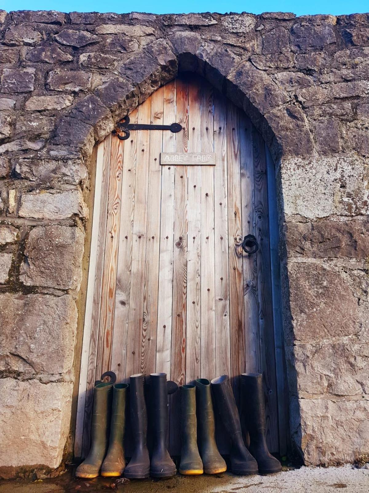 Abbey Farm Luxury Glamping Hotel Rhuddlan Eksteriør billede