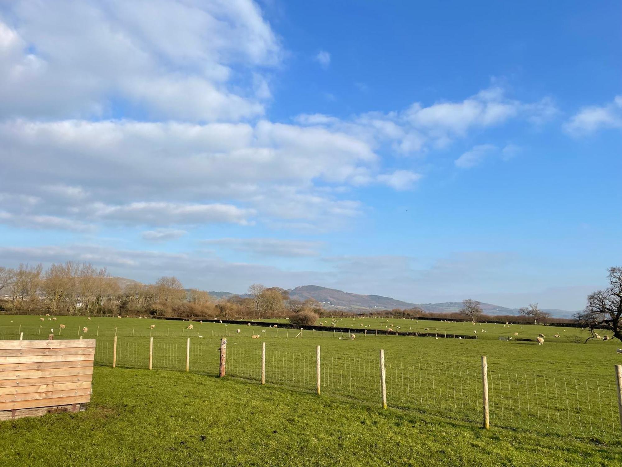 Abbey Farm Luxury Glamping Hotel Rhuddlan Eksteriør billede